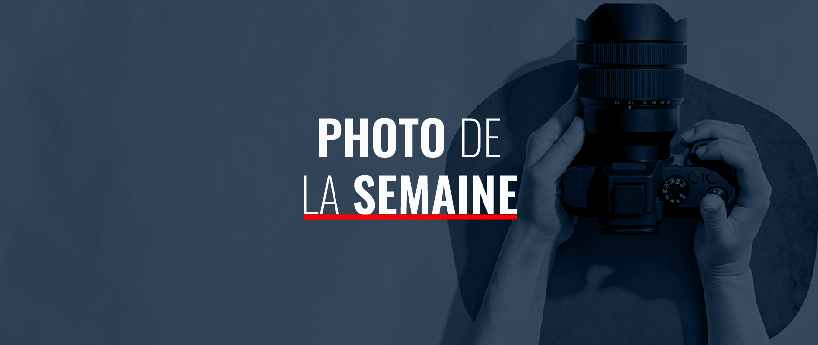 Photo de la Semaine