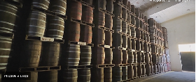 A Cuba, les maîtres du rhum préservent un savoir-faire centenaire