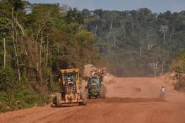 L'Amazonie, un défi de taille pour Lula