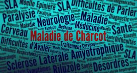 SLA: une signature sanguine qui pourrait changer la donne