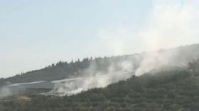 Incendies en série: la chaleur extrême et l’inaction climatique pointées du doigt