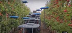 En Israël, la technologie de pointe pour sauver l'agriculture