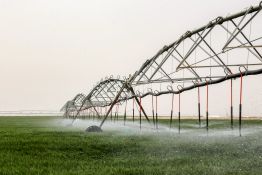 Pour planter son blé, l'Irak puise dans les nappes phréatiques