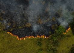 La destruction des forêts tropicales à un niveau record, sous l'effet des incendies