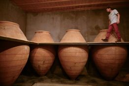 Les vins en amphore trouvent leur place dans les caves françaises