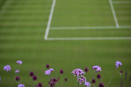 Wimbledon: l'invincible Alcaraz en quête du triplé, Djokovic rêve d'éternité