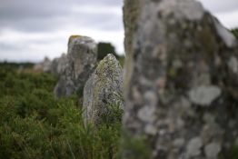Les mégalithes de Carnac sous les projecteurs du monde