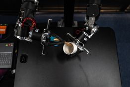 Tokyo: La course aux robots humanoïdes