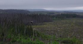Reboiser après des incendies: des drones à la rescousse au Canada