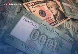 La problématique du taux de change $/LL