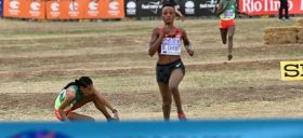 Gidey s'effondre, Chebet championne du monde de cross