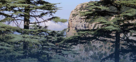Réserves naturelles: entrée gratuite le 10 mars