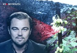 Un arbre tropical baptisé du nom de l'acteur et défenseur de l'environnement Leonardo DiCaprio