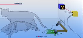 Mort ou vivant, le chat?