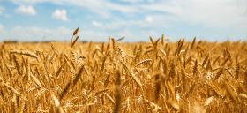 Les «commodities», votre alternative boursière