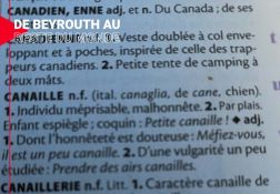 Vieille canaille