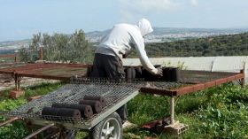 Une start-up tunisienne transforme les déchets d'olives en énergie propre