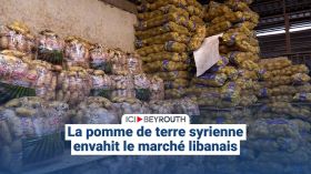 La pomme de terre syrienne envahit le marché libanais