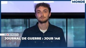 Journal de guerre : Jour 146
