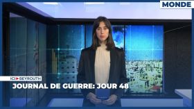 Journal de guerre: Jour 48