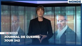 Journal de guerre: Jour 242