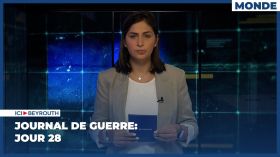 Journal de guerre: Jour 28