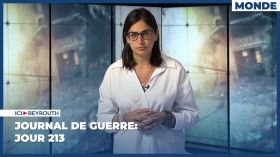 Journal de guerre: Jour 213