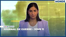 Journal de guerre : Jour 11