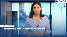 Journal de guerre: Jour 39