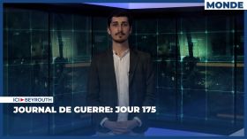 Journal de guerre: Jour 175