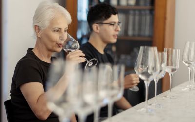Afrique du Sud: À Stellenbosch, l’eau se déguste comme un grand cru