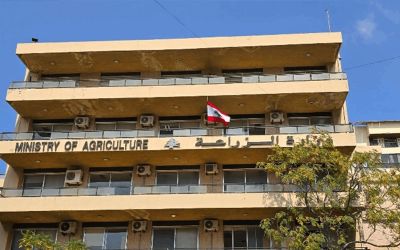 Agriculture au Liban: 704 millions de dollars de pertes recensées