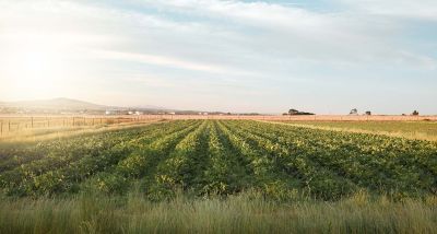Agriculture: des champs fertiles, des frontières stériles