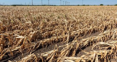 Saison sèche au Liban: urgence agricole et espoir fragile 