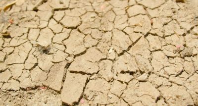 Sécheresse et climat extrême: les agriculteurs indiens à bout