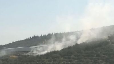 Incendies en série: la chaleur extrême et l’inaction climatique pointées du doigt