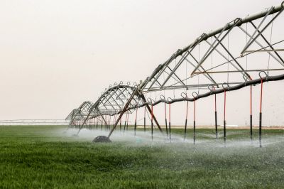 Pour planter son blé, l'Irak puise dans les nappes phréatiques