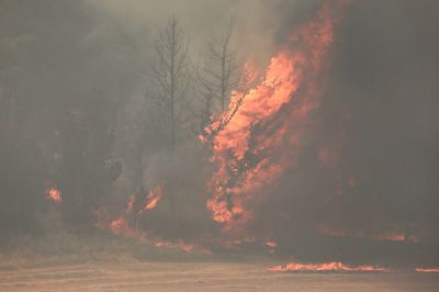 Incendies dévastateurs dans la région de Jérusalem, l'armée mobilisée
