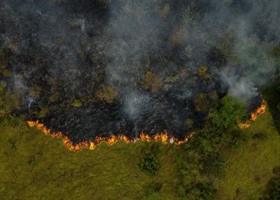 La destruction des forêts tropicales à un niveau record, sous l'effet des incendies