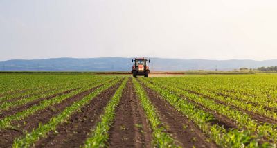 Quand la concurrence étrangère étrangle l’agriculture libanaise
