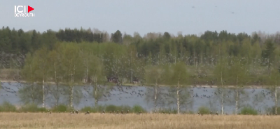 En Finlande, la guerre des oies contre les agriculteurs a commencé