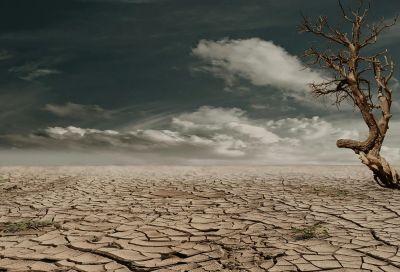 Quelles conséquences pour les énergies fossiles après l'avis de la Cour internationale de justice?