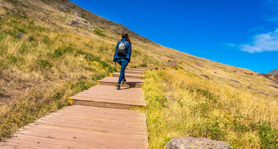 «Le chemin se fait en marchant» ou le pas qui crée la route