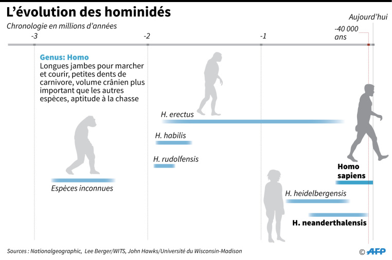 L'Homo sapiens aurait menti sur son âge