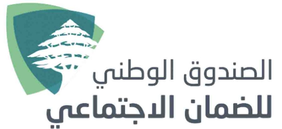 Bou Nassif: Une augmentation des cotisations sociales est nécessaire