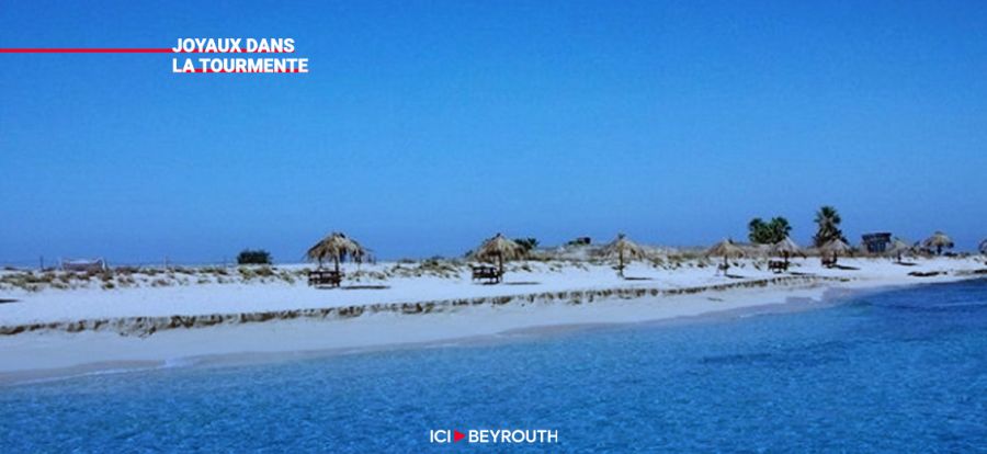 Réserves naturelles : les îles du palmier à Tripoli