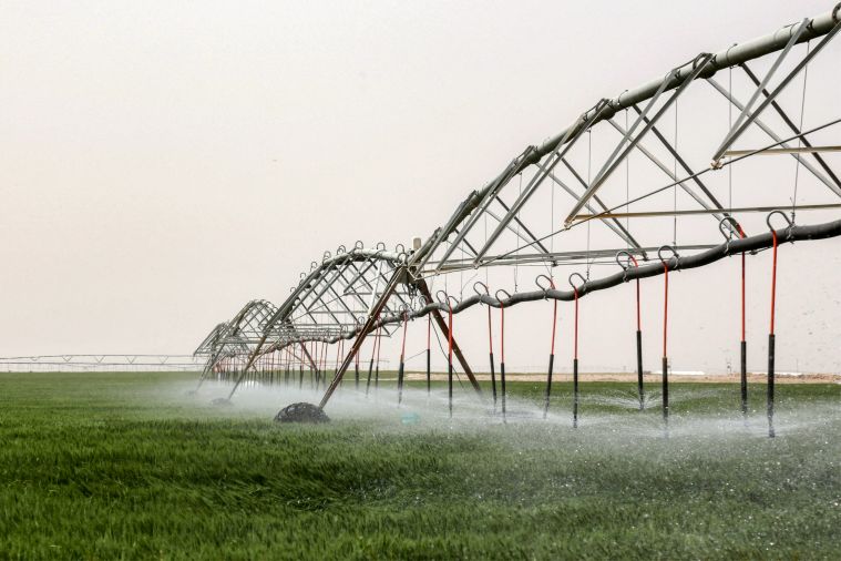 Pour planter son blé, l'Irak puise dans les nappes phréatiques