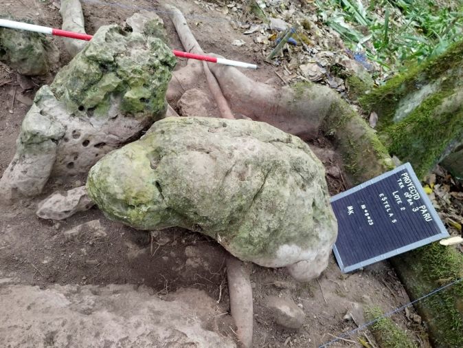 Une ancienne cité maya révélée au Guatemala après 2.800 ans