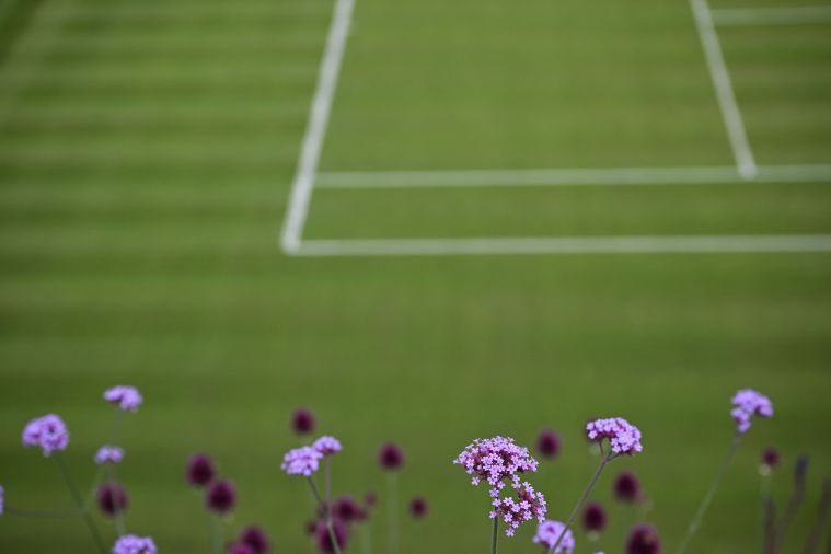 Wimbledon: l'invincible Alcaraz en quête du triplé, Djokovic rêve d'éternité