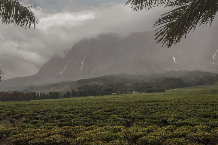 L'Afrique, priorité de l'Unesco encore sous-représentée au Patrimoine mondial